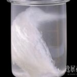 燕窝泡发出来有白色的东西正常吗,有白色沉淀物的是问题假燕窝?