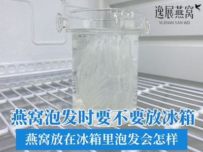 燕窝泡发时要不要放冰箱,燕窝放在冰箱里泡发会怎样