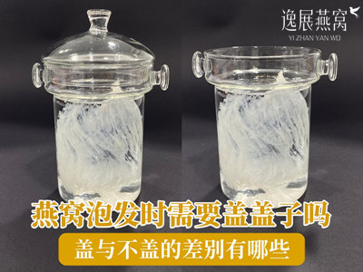 燕窝泡发时需要盖盖子吗?盖与不盖的差别有哪些
