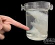 泡发过燕窝的水还能用来炖煮燕窝?泡发的水炖燕窝会怎样