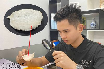 燕窝漂白后会一点毛都看不见吗?揭秘燕窝漂白后有没有毛