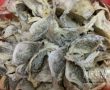 发霉毛燕原料lumut