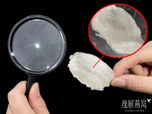 手把手教你怎么区分燕窝有没有泡过药水,鉴别药水燕窝的方法