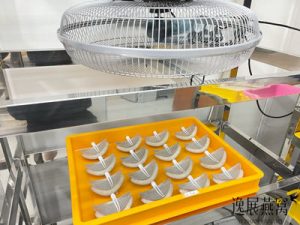 揭秘湿挑燕窝是怎么定型推模的(燕窝卖相好不好的关键点)