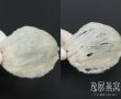 刷胶燕窝和未刷胶的5大对比,手把手教你区别刷胶燕窝