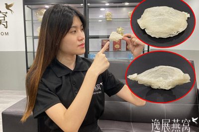 刷胶燕窝是不是看起来很厚,刷胶燕窝外表是怎样的