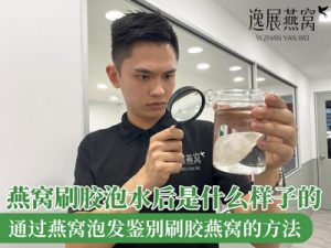 燕窝刷胶泡水后是什么样子的(图)通过燕窝泡发鉴别刷胶燕窝的方法