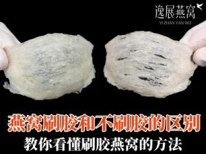 燕窝刷胶和不刷胶的区别有哪些?教你看懂刷胶燕窝的方法