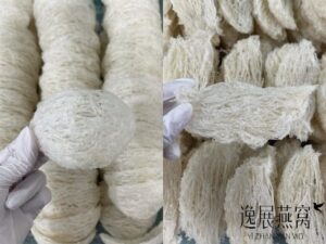 疏盏和疏条的区别有哪些,自己吃买哪个好(哪个营养价值高)