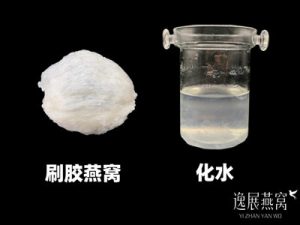 揭秘刷胶燕窝炖后会化水吗,化水就是刷过胶的假燕窝?
