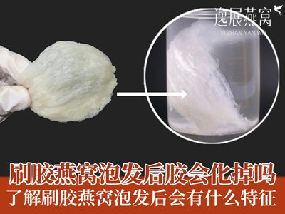 刷胶燕窝泡发后胶会化掉吗,了解刷胶燕窝泡发后会有什么特征