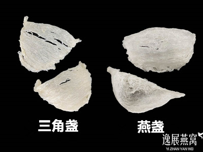 三角盏和燕盏哪个营养价值好点(三角盏和燕盏的区别)