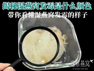 揭秘湿燕窝发霉是什么颜色,附图带你看懂湿燕窝发霉的样子