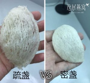 疏盏vs密盏的区别