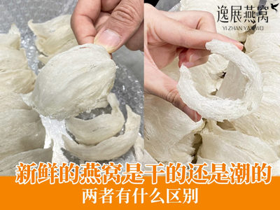 新鲜燕窝是干的还是潮的,两者有什么区别(哪个更好)