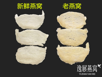 买燕窝是选新鲜燕窝好还是老燕窝好,两者之间的营养会有什么区别