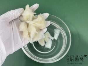 燕角泡发一天还是很硬发不开?到底什么原因导致燕角泡不开