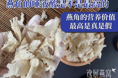 揭秘燕角的唾液酸是不是最高的?到底燕角的营养价值最高是真是假