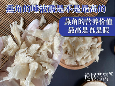 揭秘燕角的唾液酸是不是最高的?到底燕角的营养价值最高是真是假