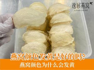 燕窝颜色发黄是好的吗?燕窝颜色为什么会发黄