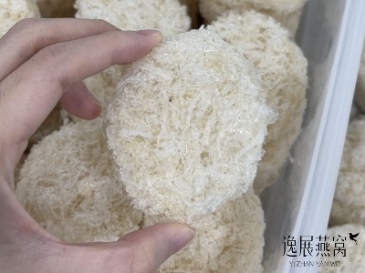 燕丝饼是什么产品?揭秘燕丝饼跟燕窝是一样的品种吗