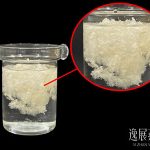 揭秘燕碎泡不开来的原因,带你了解燕碎泡发率很差的因素