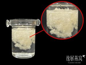 揭秘燕碎泡不开来的原因,带你了解燕碎泡发率很差的因素