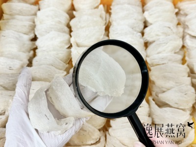 买燕盏选干挑还是半干挑好?6大区别带你彻底了解 买燕盏选干挑还是半干挑好?6大区别带你彻底了解