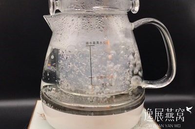 燕窝炖煮后有气泡