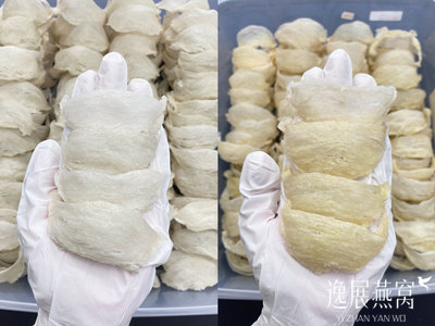 揭秘燕窝是不是越新鲜越好,旧燕窝会比新鲜燕窝品质差吗