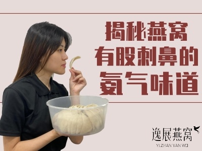 揭秘燕窝有股刺鼻的氨气味道,是因为燕屋也有氨气味的原因吗?