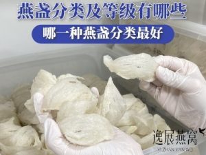 燕盏分类以及等级有哪些,哪一种燕盏分类最好(哪个营养价值最高)