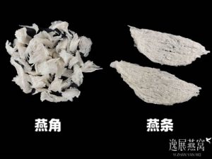 燕盏角和燕盏丝的营养哪个高(自己吃选哪个好)