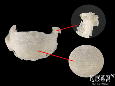 燕盏角和燕盏丝的营养哪个高(自己吃选哪个好)