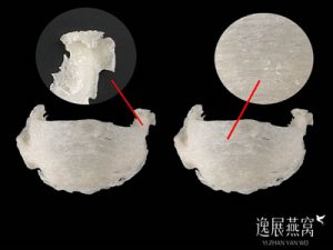 燕盏角和燕盏丝的营养哪个高(自己吃选哪个好)