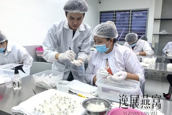 逸展燕窝加工厂12
