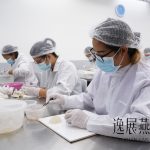 燕窝工厂投资大吗,主要资金都花在哪里