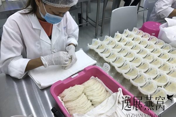 逸展燕窝加工厂14