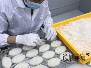马来西亚燕窝在哪里买?带你实地探访逸展燕窝加工厂