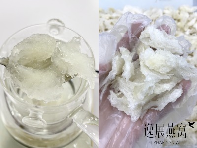 刚买的燕角炖不烂是买到假的吗?燕角炖不烂的4大原因