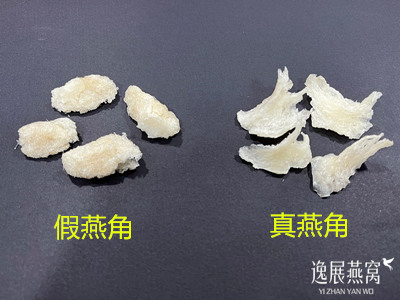 你见过用燕碎捏成的假燕角吗(鉴别燕角真假)