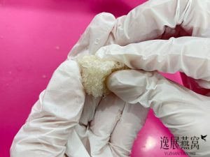 你见过用燕碎捏成的假燕角吗(鉴别燕角真假)
