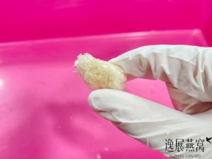你见过用燕碎捏成的假燕角吗(鉴别燕角真假)