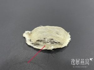 燕窝原料上出现的白色点点是什么?有白色点点还能吃吗