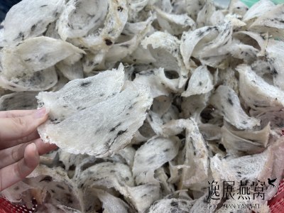 燕窝原料类别是什么?通过燕窝原料分类带你了解燕窝