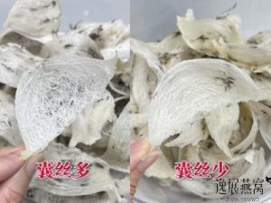 燕窝原料要买囊丝多还是囊丝少的好?两者之间的营养会有区别吗