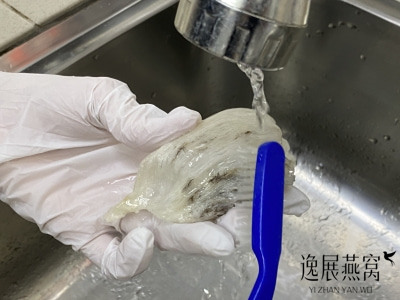 自己买的毛燕要怎么消毒才能食用,毛燕窝没消毒直接挑毛吃行不行