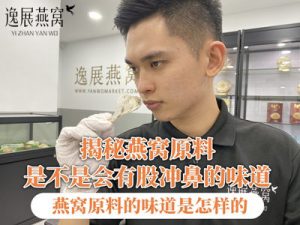 揭秘燕窝原料是不是会有股冲鼻的味道,燕窝原料的味道是怎样的