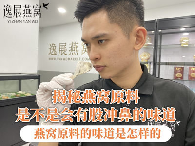 揭秘燕窝原料是不是会有股冲鼻的味道,燕窝原料的味道是怎样的