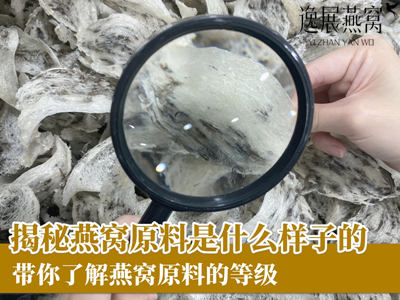 揭秘燕窝原料是什么样子的(附图)带你了解燕窝原料的特征由来